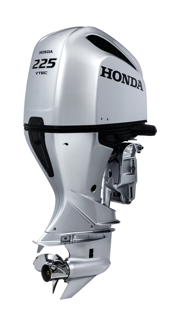 BF225 (1)