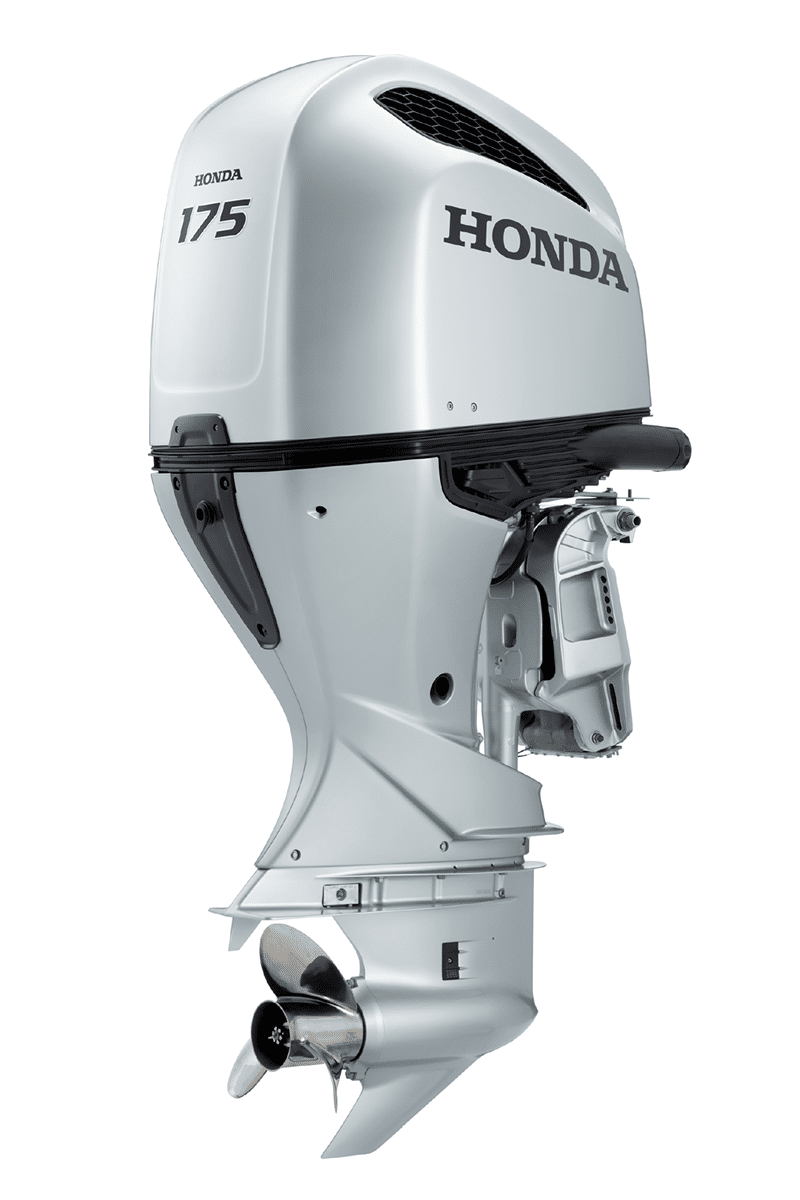 BF175